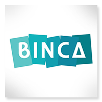 bincainc.com